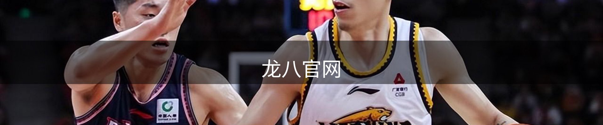 龙八官网